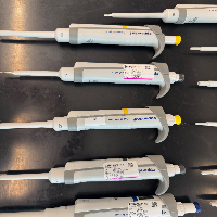 Eppendorf Research Plus Single Channel Pipettes - Quantity 15 image 0
